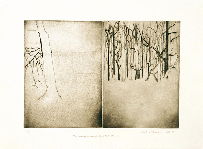 Life of Trees Etching 3
